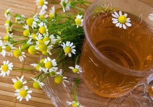 Apigenin u čaju od kamilice može uticati na receptore u mozgu povezane sa opuštanjem 