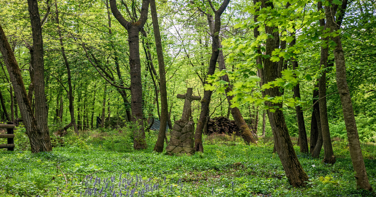 14-listopada-poch-wek-o-nierzy-WP-w-Mo-ciskach-po-ekshumacji-we-Lwowie