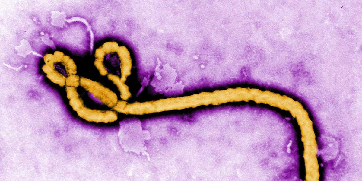 A person has died from Ebola in Congo, signaling the start of a new outbreak