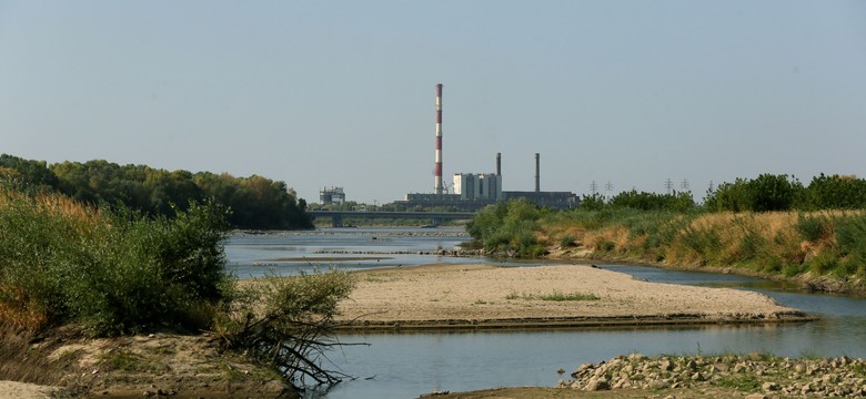 Natura wygrała z energetyką. Ograniczenia w dostawach prądu dla firm