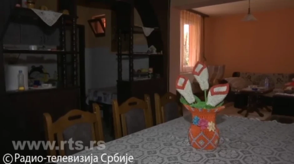 Vaza s kalama, origami Filip Janjić