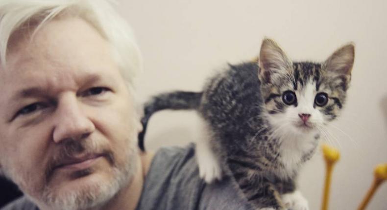 Julian Assange gave away Embassy Cat, his beloved feline companion at the Ecuadorian Embassy in London.