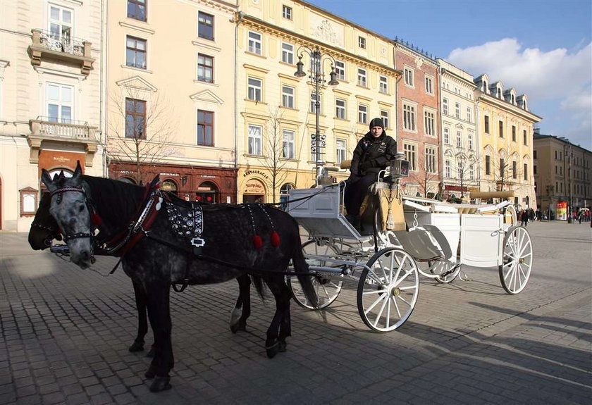 Absurd! Będę musiał skrócić dorożkę!