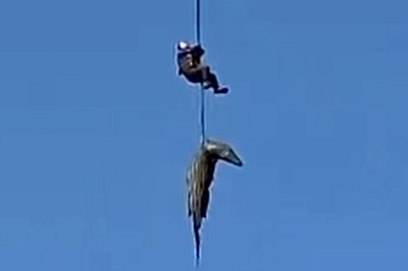 KROKODIL OD POLA TONE PROGUTAO BIZNISMENA! Policajca spustili u "reku smrti": Kada su rasporili zver, usledio je šok (FOTO, VIDEO)