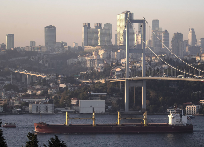 Statek z ukraińskim zbożem przepływa przez Bosfor w Stambule
