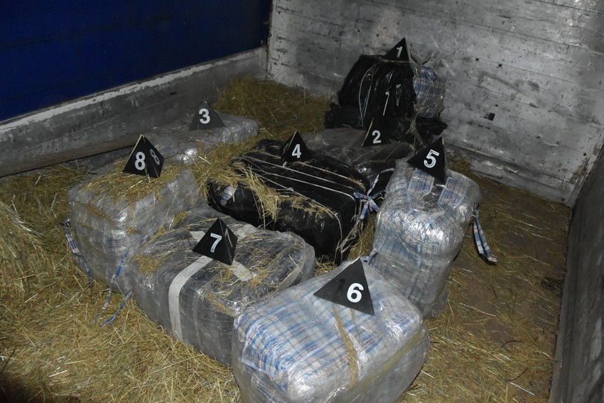 Zaplenjena marihuana