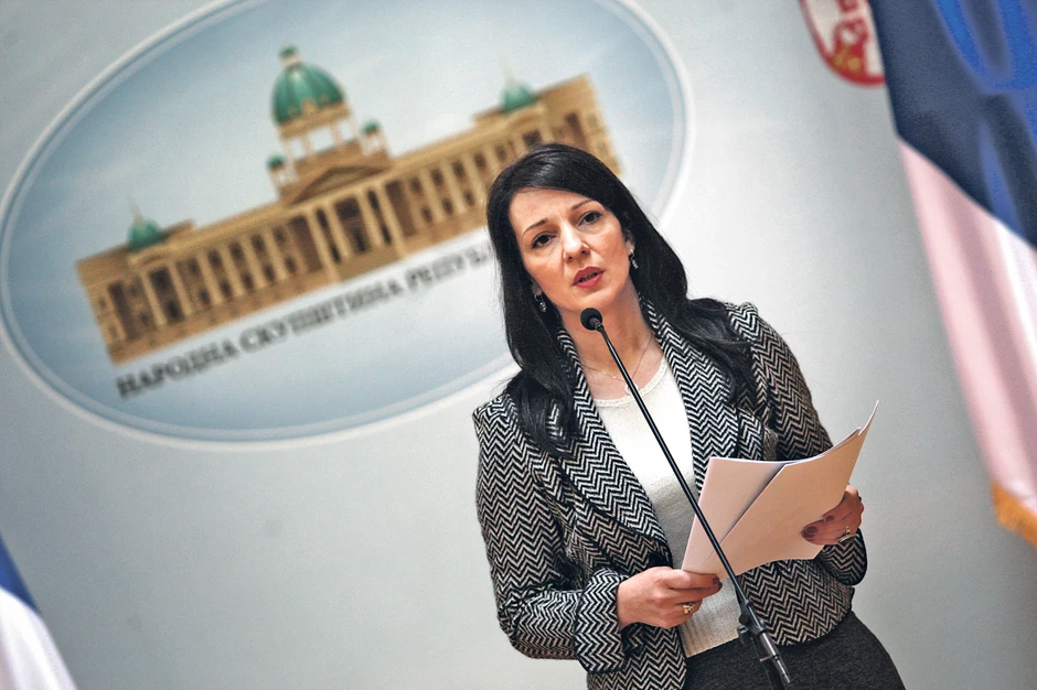 Marinika Tepić: Imamo plan