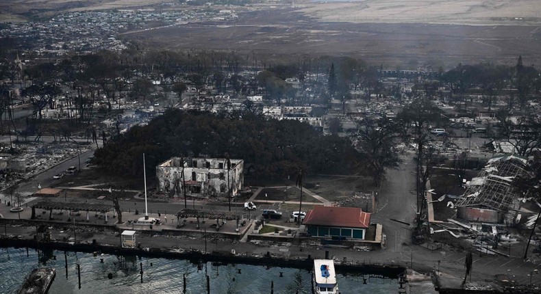 An aerial view shows the historic Banyan Tree along with destroyed homes, boats, and buildings burned to the ground in the historic Lahaina town in the aftermath of wildfires in western Maui in Lahaina, Hawaii.Patrick T. Fallon/AFP via Getty Images