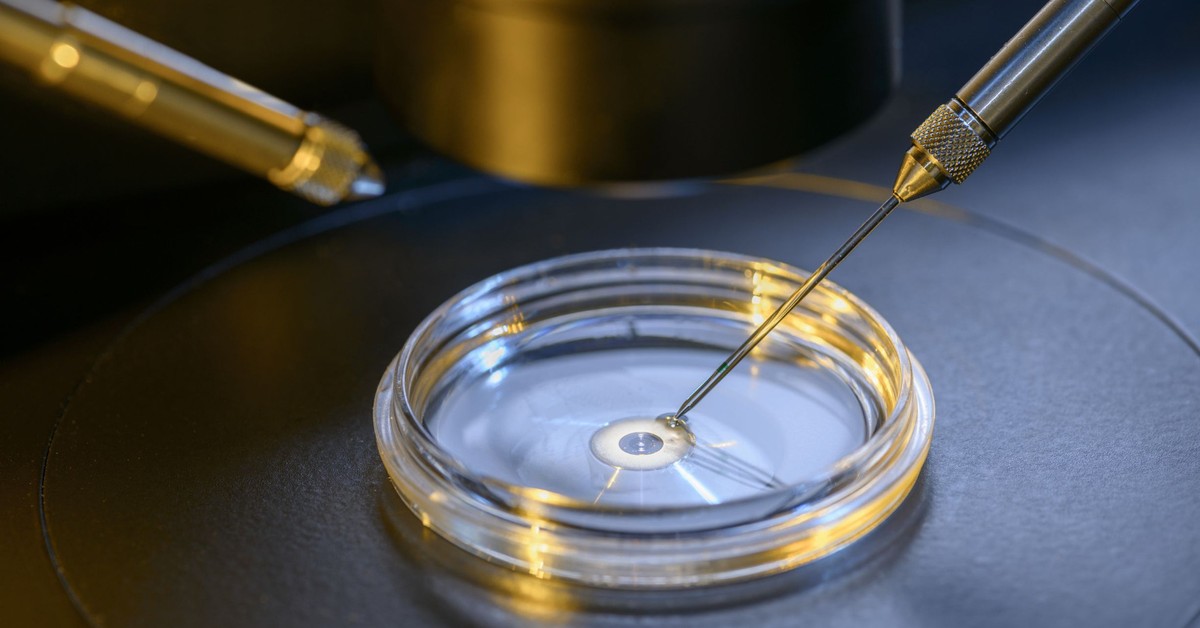 Minister zdrowia sypie milionami na in vitro. Czy teraz każda para dostanie szansę na dziecko?