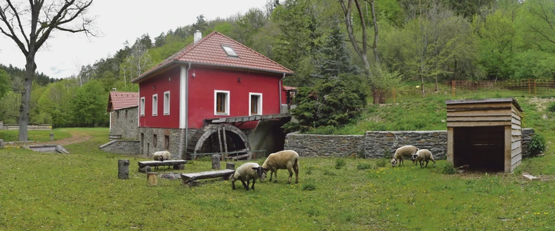 Popularni vojvođanski salaši 
