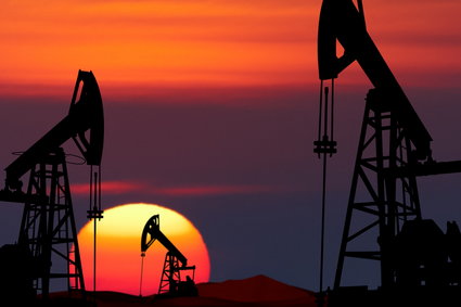 OPEC chce jeszcze większych cięć dostaw ropy na światowe rynki