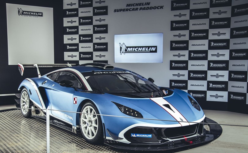 Arrinera hussarya GT