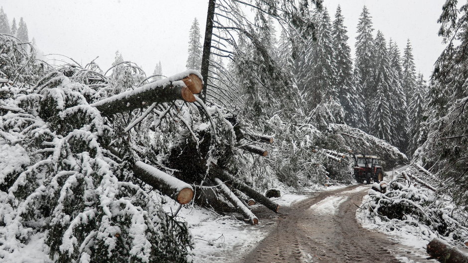 W Tatrach występuje niebezpieczeństwo powstania okiści. TPN apeluje