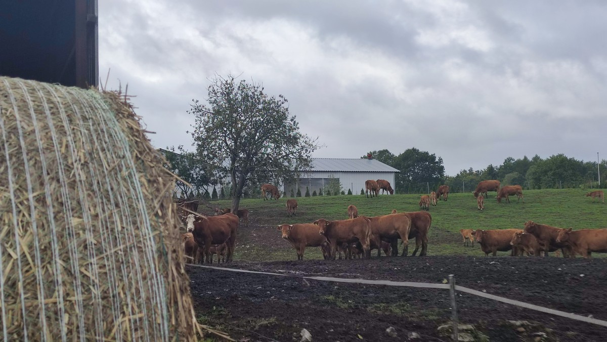 Gospodastwo popegeerowskie w Kamnicy