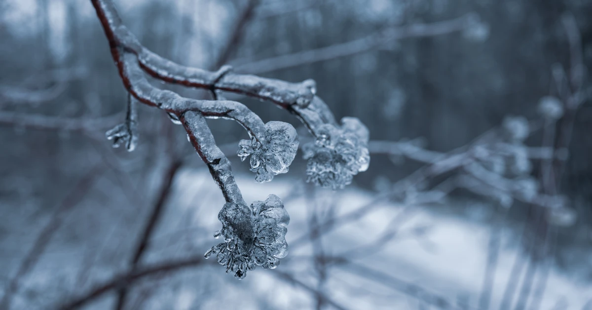 Przelotne opady deszczu ze śniegiem oraz przymrozki. Prognoza pogody na środę, 1 października