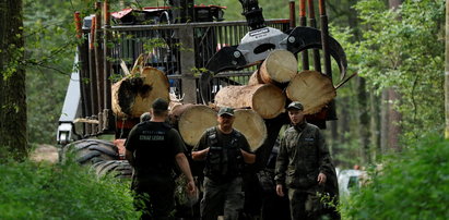 Skandaliczna interwencja strażników w Białowieży