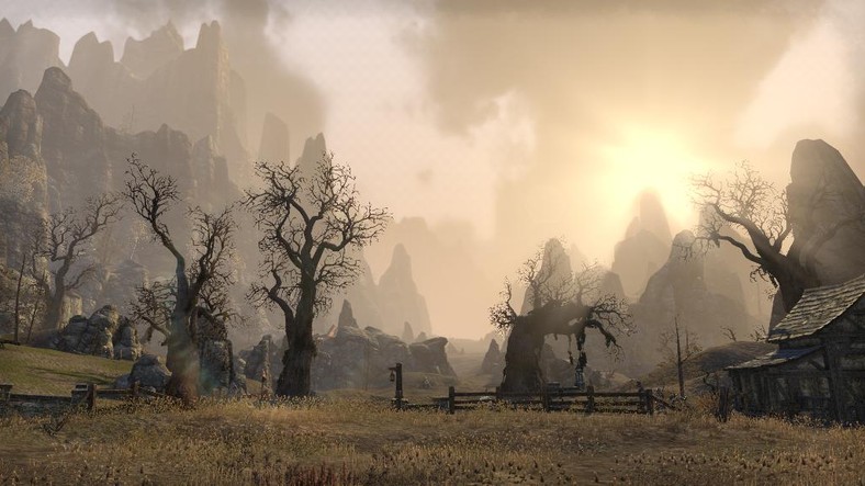 Elder Scrolls Online okiem anty-fana MMO