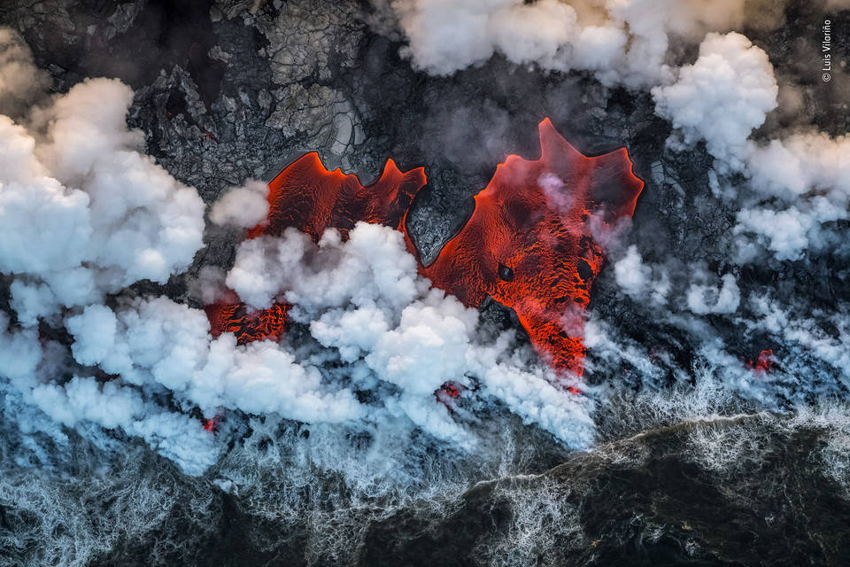 Zwycięskie zdjęcie Wildlife Photographer of the Year 2019 - kategoria "Środowisko naturalne", autor Luis Vilariño