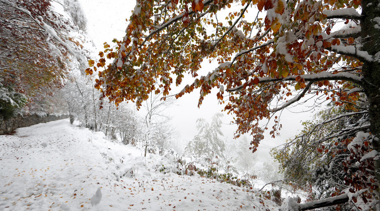 Széphalmon december elejétől minden nap szakad a hó / Illusztráció: Northfoto