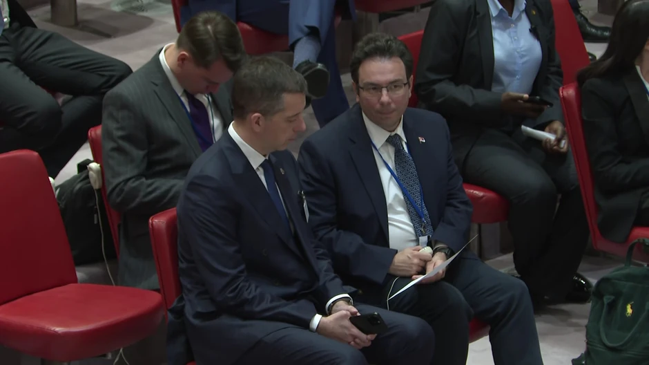 Marko Đurić, Savet bezbednosti UN