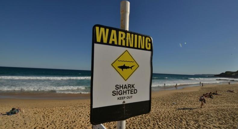 Shark attacks are rare, but still cause fear among ocean-users