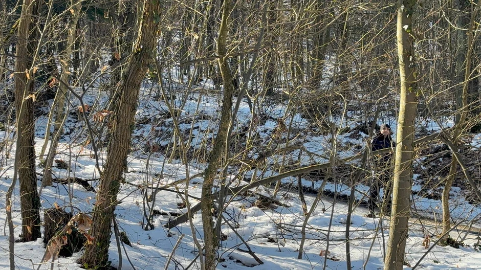 Mesto ubistva  Živka Bakića,  jezero Trešnja