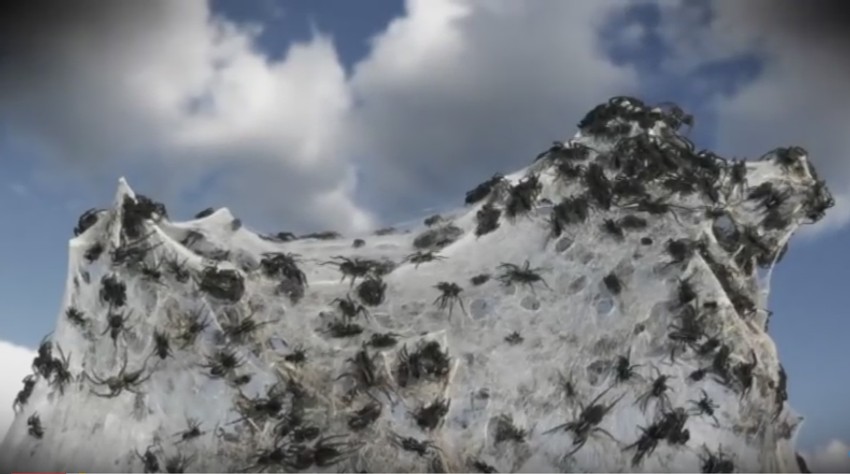 Neverovatni prizori u Tasmaniji