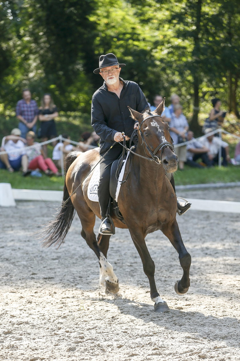 XXII Jeździeckie Mistrzostwa Gwiazd - Art Cup w Zakrzowie