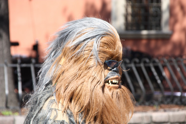 Dziennikarska prowokacja na Podhalu. Udowodnił korupcję w Chewbackim przebraniu