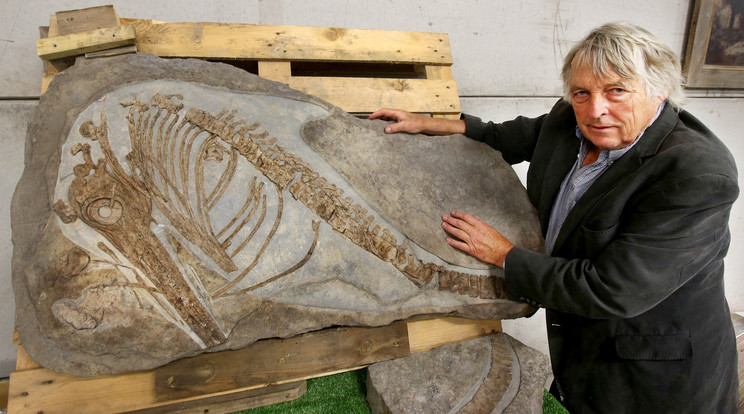 Julian Temperley és a kiásott fosszília / Fotó : Northfoto