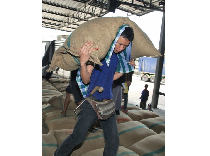 W tym roku na całym świecie wyprodukowano rekordową ilość ryżu