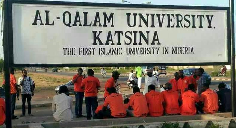 Al-Qalam University Katsina gets accreditation for 13 programmes