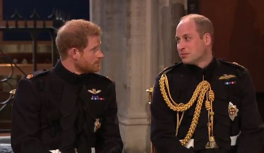 Princ Hari i Vilijam