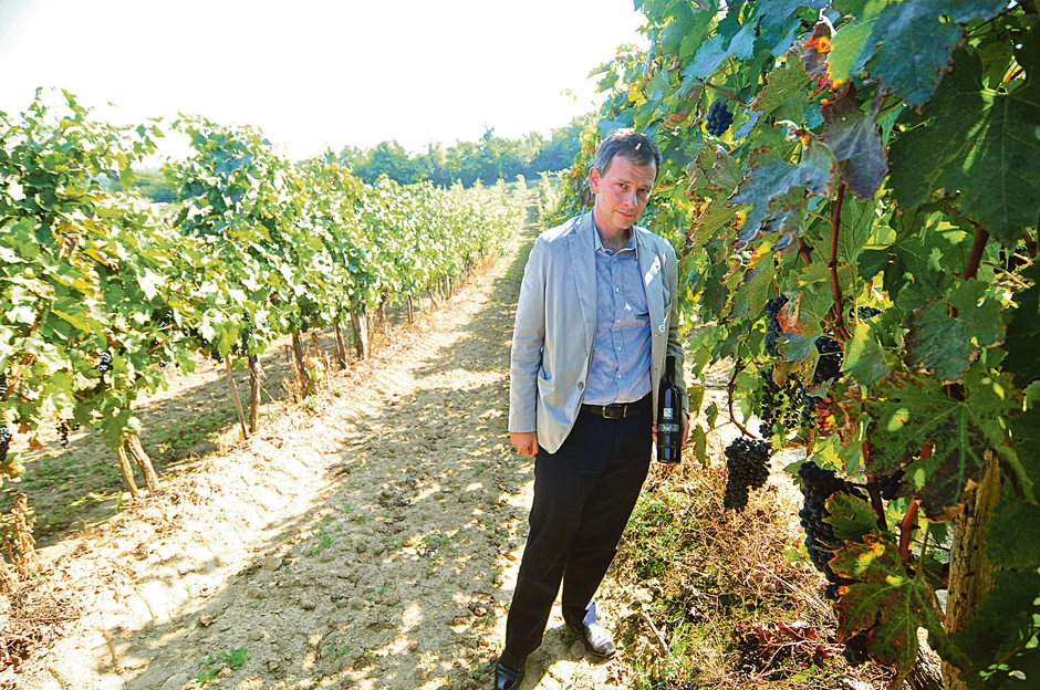 Gaje lozu na 14 hektara