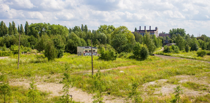 Wolne Tory: prace konkursowe pójdą w kubeł?