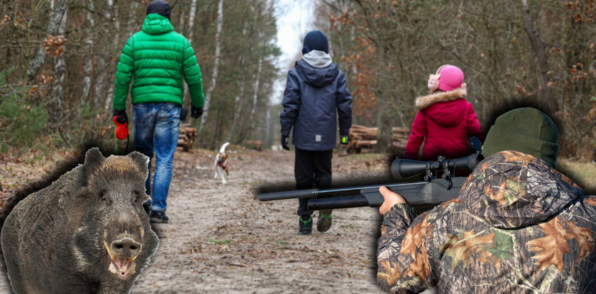 Mieszkańcy Choszczówki drżą o swoje życie. Myśliwi strzelają w pobliżu ich domów