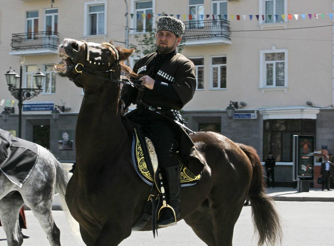 Крадут коней. Кадыров Рамзан Ахматович на коне. Конюшня Рамзана Кадырова. Рамзан Кадыров джигит. Лошади Рамзана Кадырова.