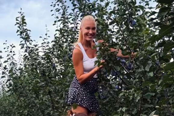 POZNATA VODITELJKA SE POPELA NA MERDEVINE I BERE ŠLJIVE! Zamenila studio voćnjakom i svi joj aplaudiraju: "Ponosna sam na poreklo sa sela"