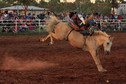 Wilmington Rodeo