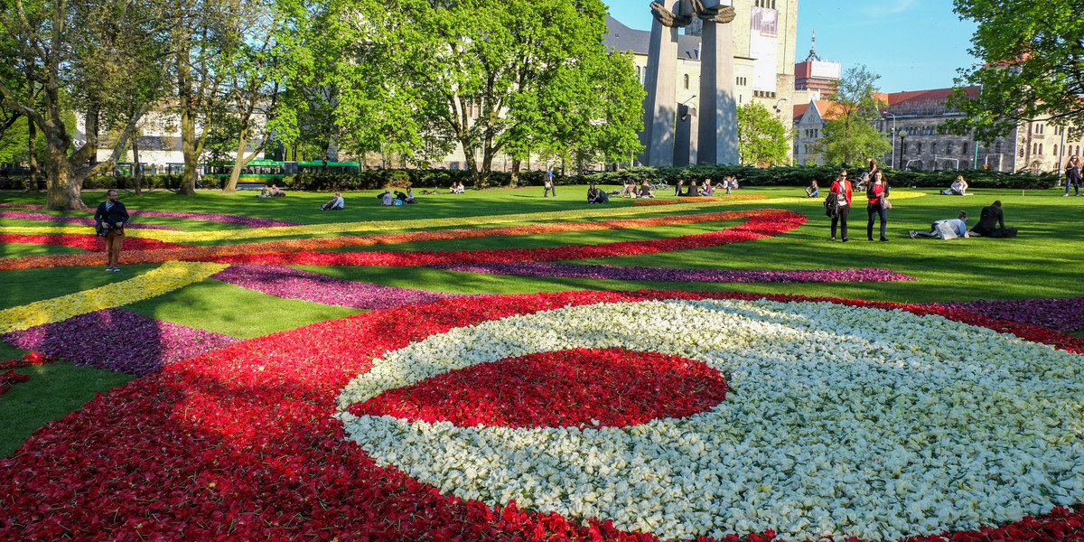 Kwiatowe dywany w parku im. Adama Mickiewicza