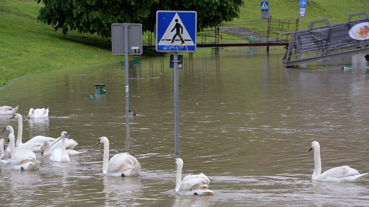 Stabilizuje się pogoda w Małopolsce. Sukcesywnie odwoływany jest alarm powodziowy w powiatach i gminach regionu w wyniku opadania wód i zmniejszania zagrożenia powodziowego – poinformował rano rzecznik wojewody Jan Brodowski.