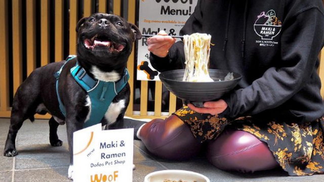Saját étlapot kaptak a kutyák egy új étteremben