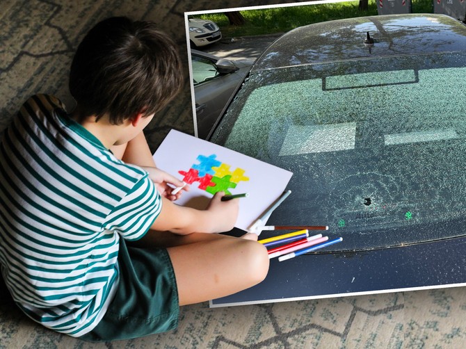 Tati iz Novog Beograda razlupano staklo na automobilu: "Autizam našeg sina komšija ne vidi"