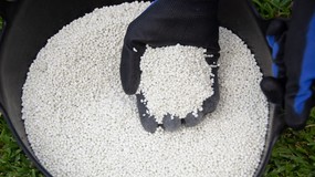 Wapnowanie trawnika - kiedy sypać wapno na trawnik w listopadzie? Jakie wapno na trawnik? Ile wapna na m2 trawnika?