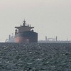 Kargo brodovi u Ormuskom moreuzu | Foto: Reuters