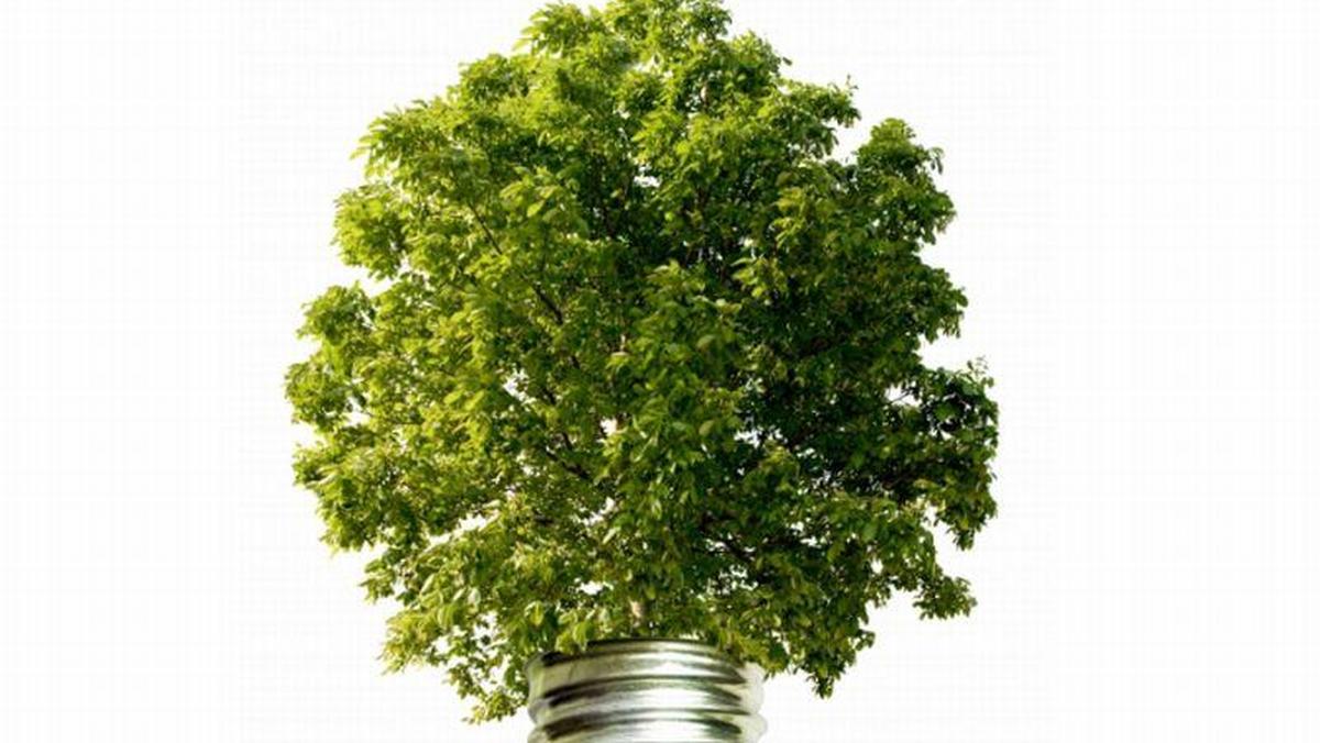 ekologia zielona energia