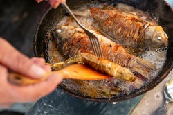 Tylko na tym oleju ryba wychodzi idealnie. Przetestowałam 5 tłuszczów i różnica była ogromna [PORADA]