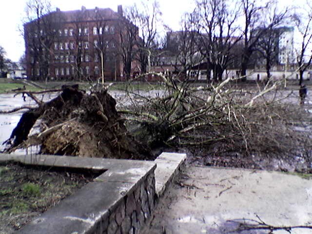 (tel. kom) Szczecin