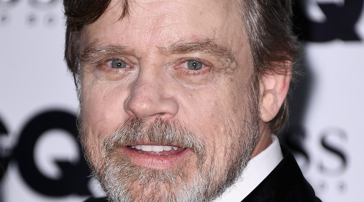 A színész Mark Hamill csak Luke Skywalkerként rettenthetetlen hős /Fotó: GettyImages