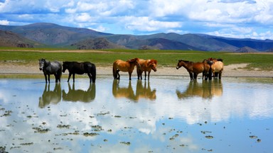 Mongolia znosi wizy turystyczne dla Polaków i obywateli innych krajów Unii Europejskiej do końca 2015 r.